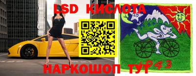 ПСИЛОЦИБИНОВЫЕ ГРИБЫ Малгобек