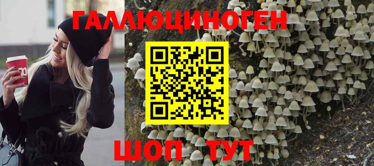 Галлюциногенные грибы прущие грибы  Галлюциногенные грибы мухоморы  Гудермес  Вход с VPN 