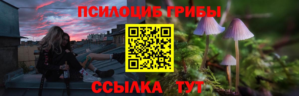 Галлюциногенные грибы мицелий Гудермес